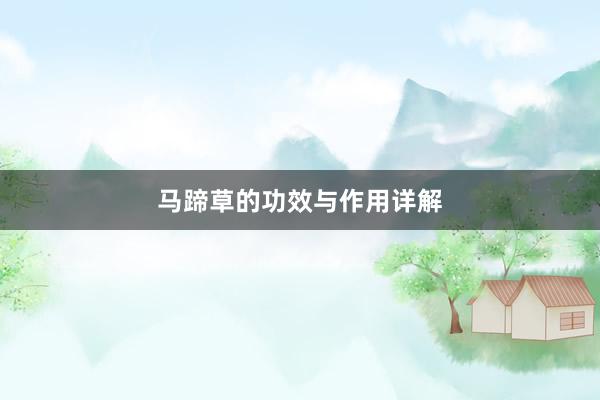 马蹄草的功效与作用详解