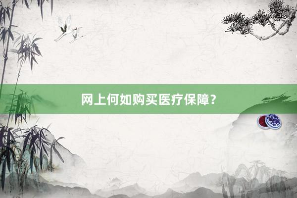 网上何如购买医疗保障？