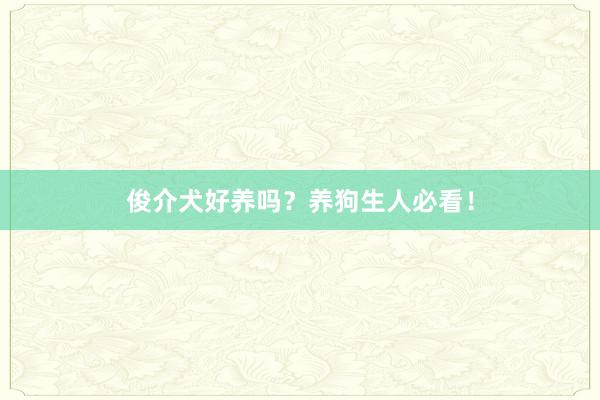 俊介犬好养吗?养狗生人必看!
