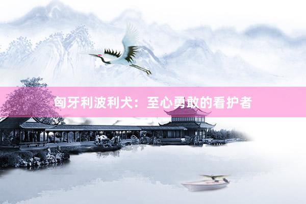 匈牙利波利犬：至心勇敢的看护者