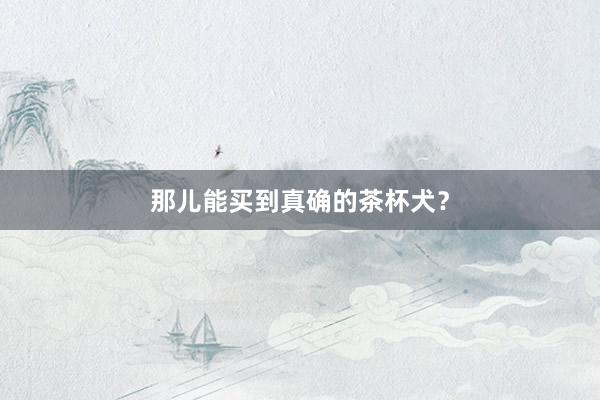 那儿能买到真确的茶杯犬？