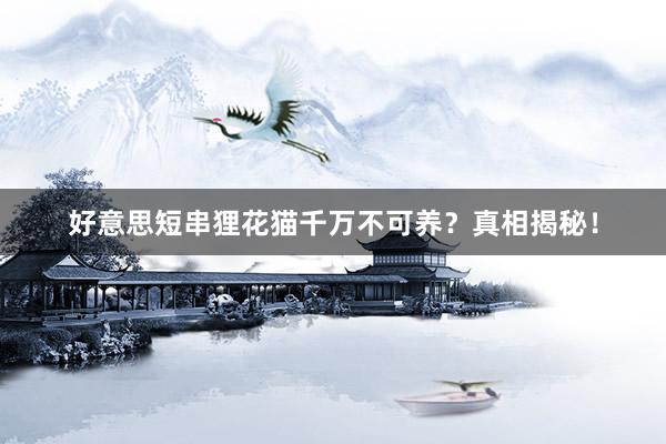 好意思短串狸花猫千万不可养？真相揭秘！